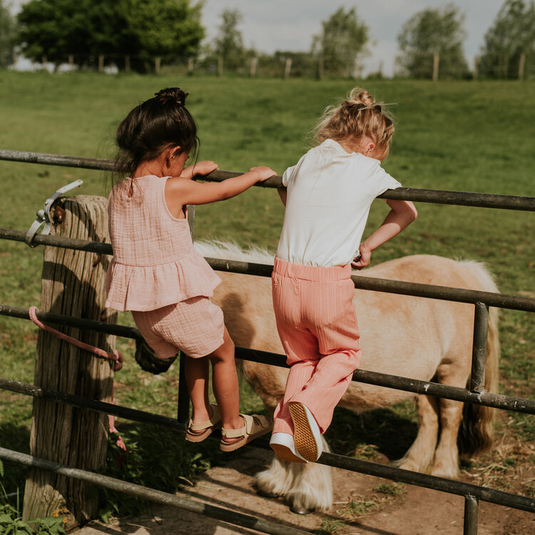 Koko Noko Mädchen Hose mit weitem Bein, sandfarben, zartorange | N58921-37