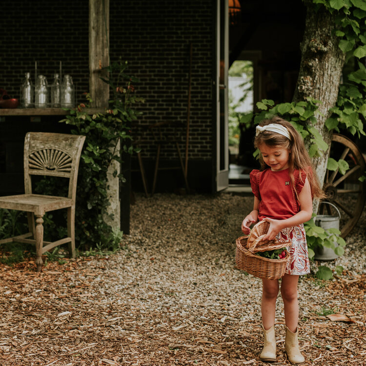Koko Noko girls' T-shirt, brick red, embroidery | N58929-37