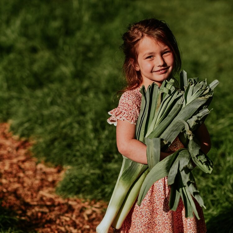Koko Noko meisjes jurk zachtroranje bloemetjes | N58933-37