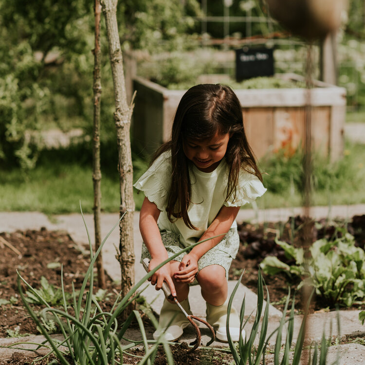 Koko Noko Mädchen-T-Shirt, locker geschnitten, zartgrün, Rüschen | N58945-37
