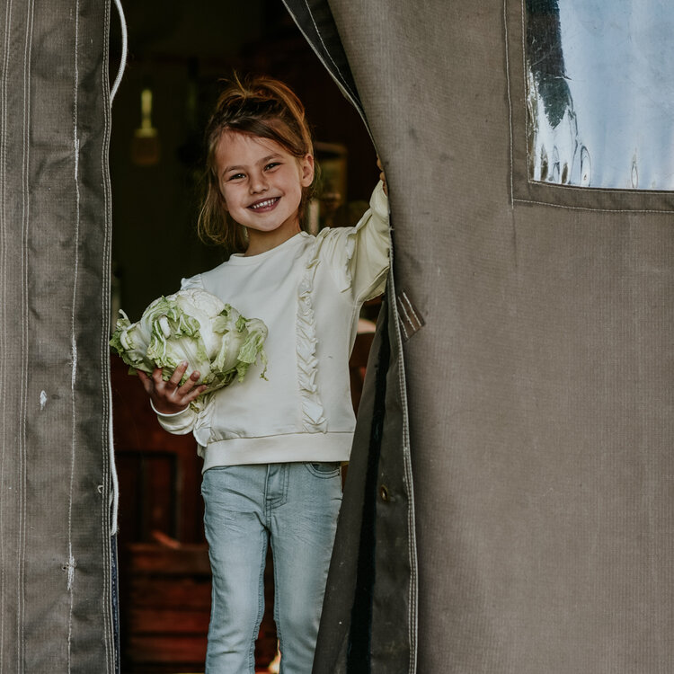 Koko Noko girls' flared jeans grey | N58975-37