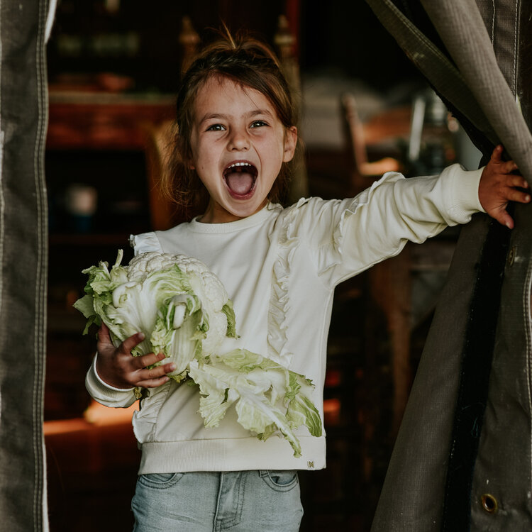 Koko Noko girls' flared jeans grey | N58975-37