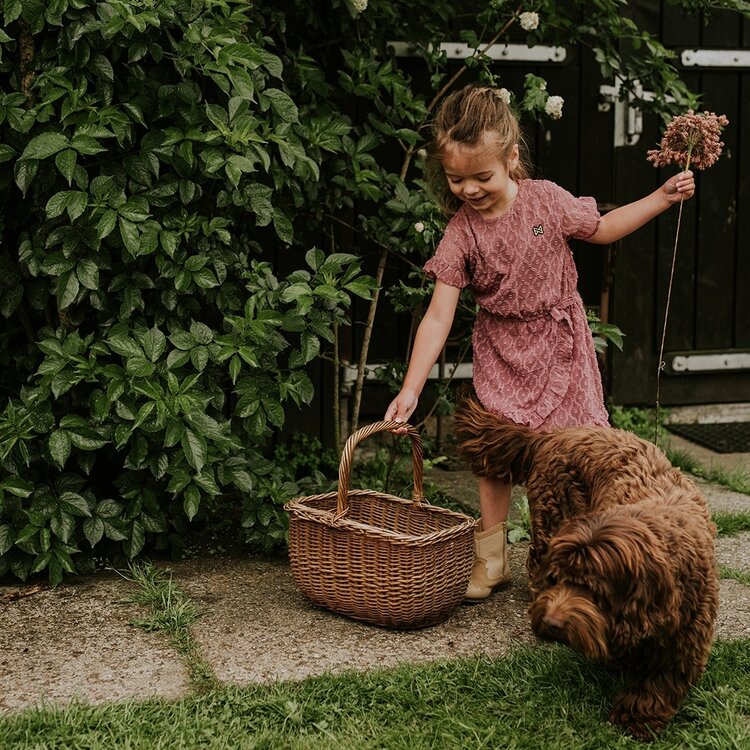 Koko Noko girls' purple wrap dress | N58983-37