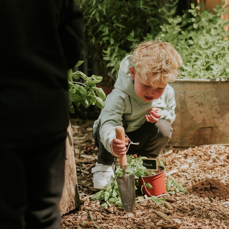 Koko Noko Jungen Hoodie hellgrün Bio-Baumwolle | WN1816