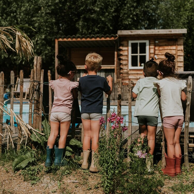 Koko Noko Jungen-Boxershorts-Set dunkelgrün Bio-Baumwolle | WN1829