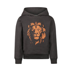 Koko Noko Jungen-Hoodie dunkelgrau mit Löwenmotiv