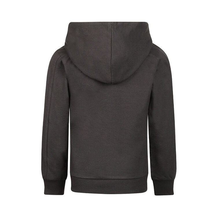 Koko Noko boys’ hoodie, dark grey, lion | M60827-37