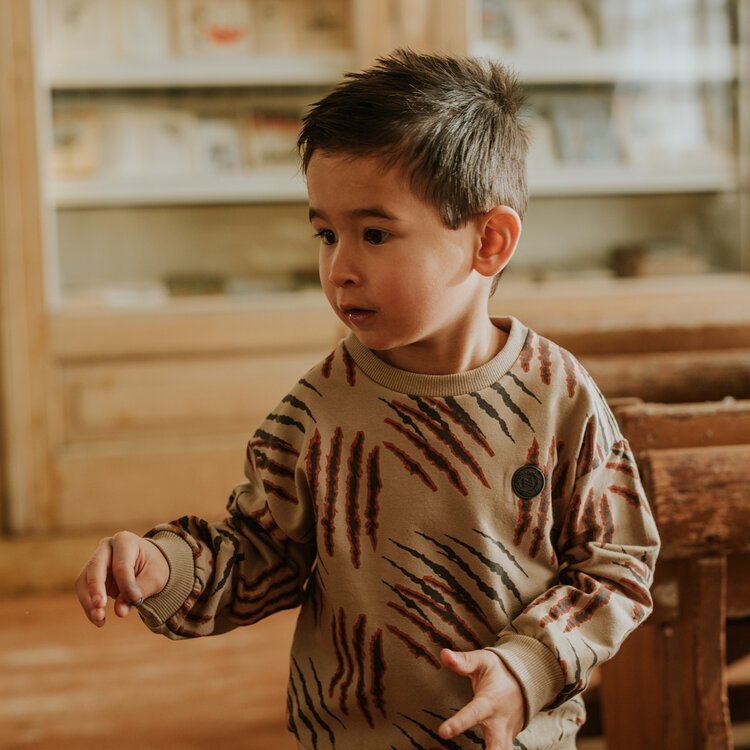 Koko Noko boys’ jumper, soft brown, claw | M60830-37