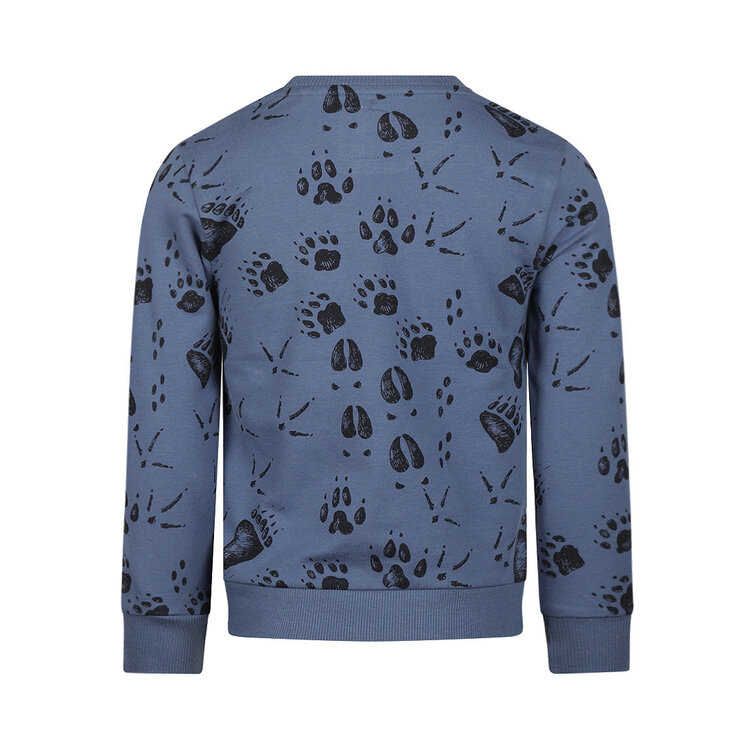 Koko Noko Jungen-Pullover, blau, mit Tiermotiven | M60870-37
