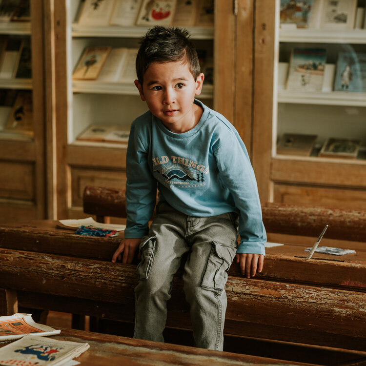 Koko Noko boys’ long-sleeved top, light blue, mountains | M60878-37