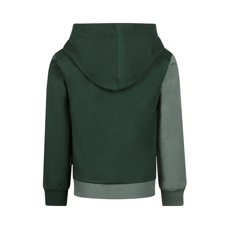 Koko Noko Jungen-Hoodie, grün | M60880-37