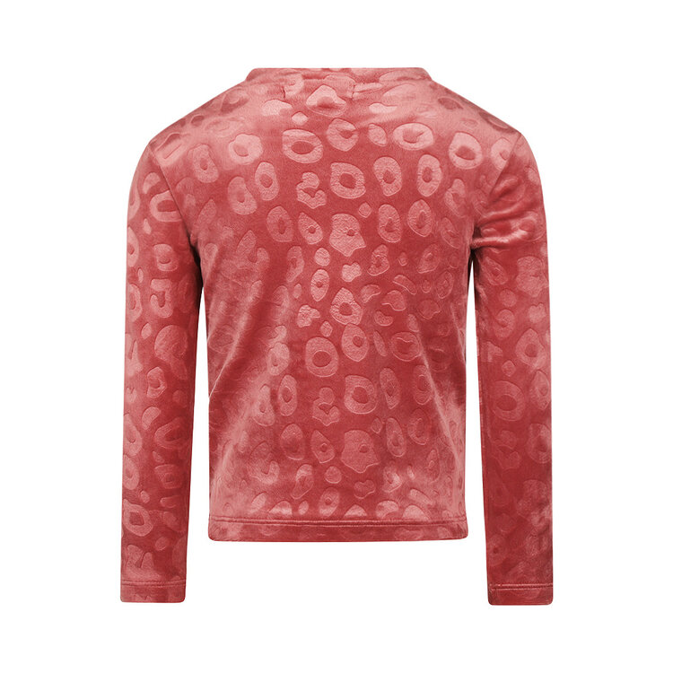 Koko Noko girls’ long-sleeved top, soft red leopard-print velvet | M60984-37