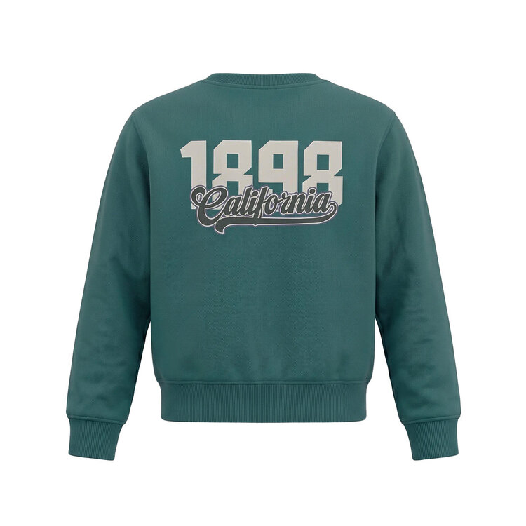 Koko Noko Jungen-Pullover grün „California“ | MX60804-37