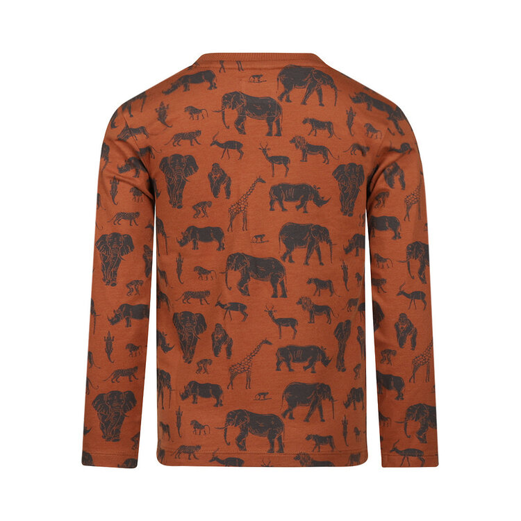 Koko Noko boys’ long-sleeved top, orange, safari | M60831-37