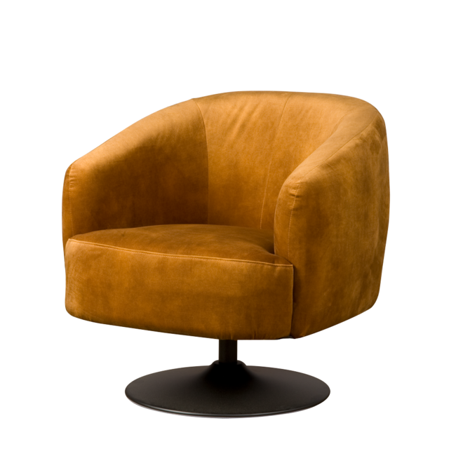 Barga Fauteuil - Bliss 13 Gold