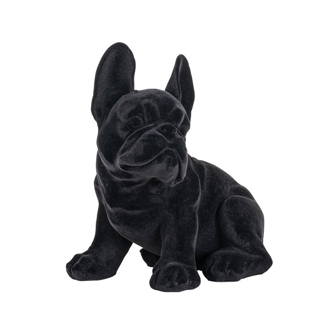 Dog Miro Black (Zwart)