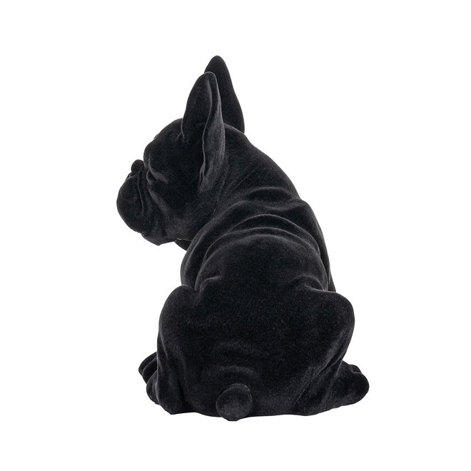 Dog Miro Black (Zwart)