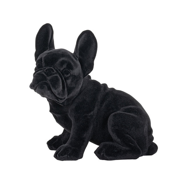 Dog Miro Black (Zwart)