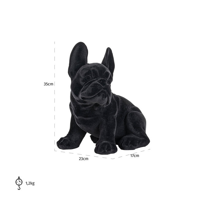 Dog Miro Black (Zwart)