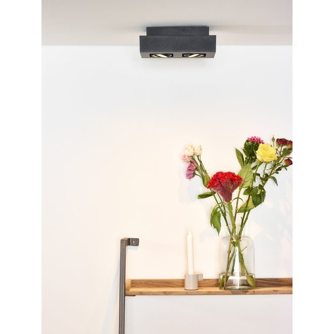 Lucide Xirax - Plafondspot LED Dim to warm GU10 2x5W 2200K/3000K Zwart