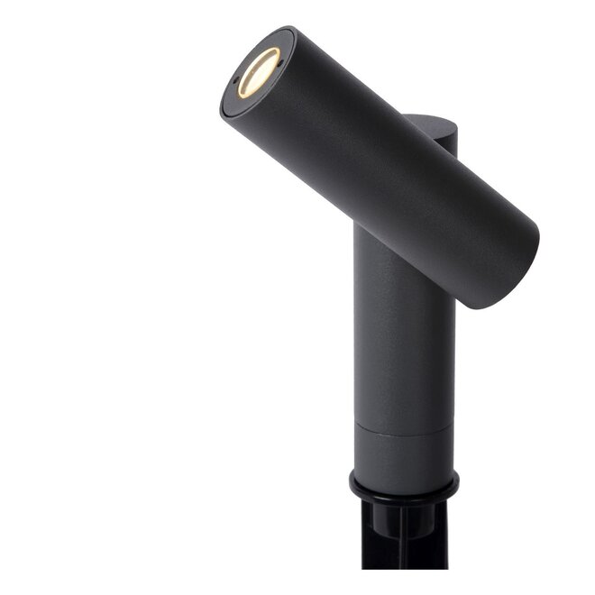 Lucide Tatum - Tuinspot Buiten LED 1x4,5W 3000K IP65 Antraciet