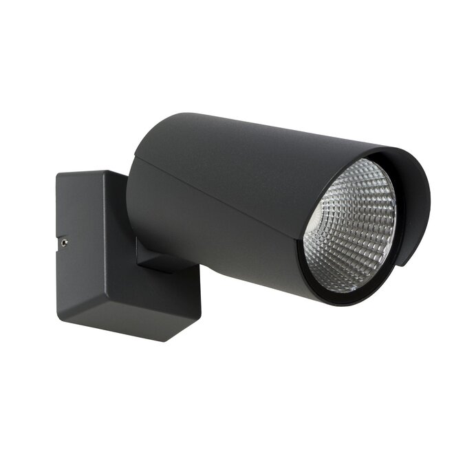Lucide Manal - Wandspot Buiten LED 1x12W 3000K IP65 Antraciet