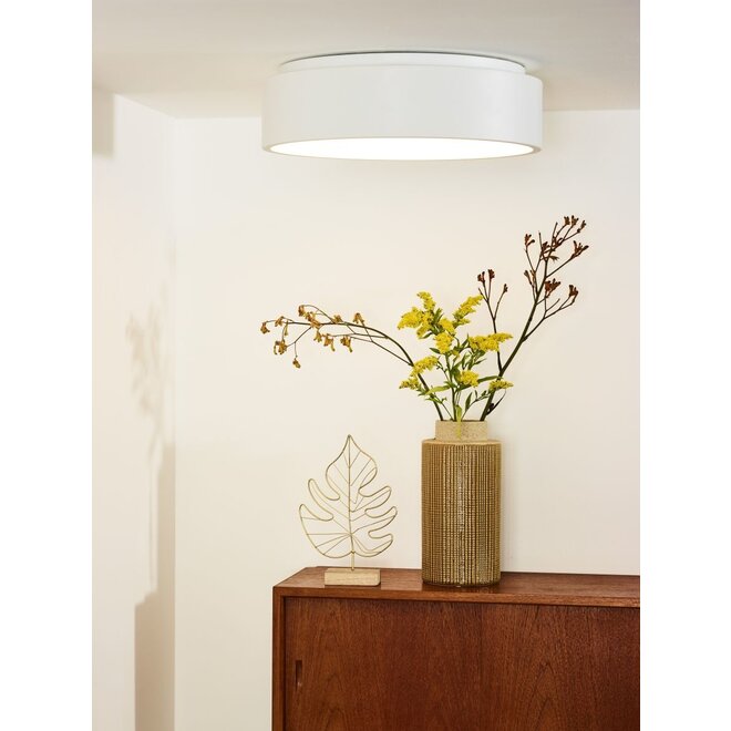 Lucide Talowe Led - Plafonnière Ø 45 cm LED Dimb. 1x30W 3000K Wit