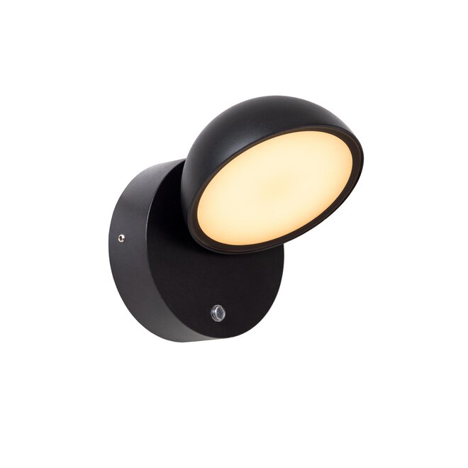 Lucide FINN - Wandlamp Buiten - LED - 1x12W 3000K - IP54 - Zwart