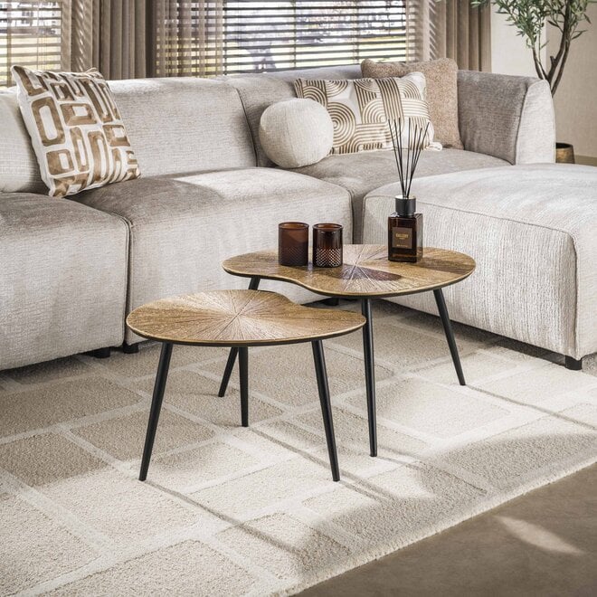 Salontafel Ray niervormig set van 2 / Ray antiek goud
