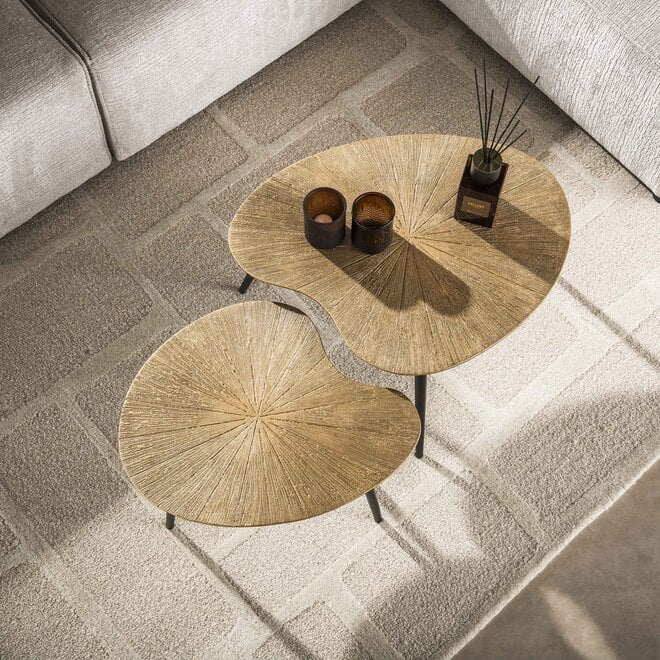 Salontafel Ray niervormig set van 2 / Ray antiek goud