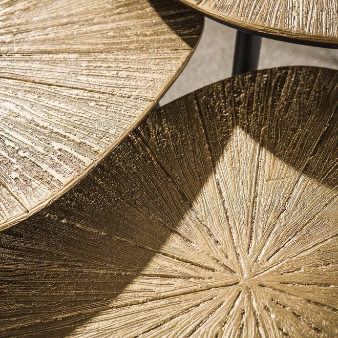 Salontafel Ray niervormig set van 2 / Ray antiek goud
