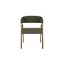 Fauteuil Adamello groen