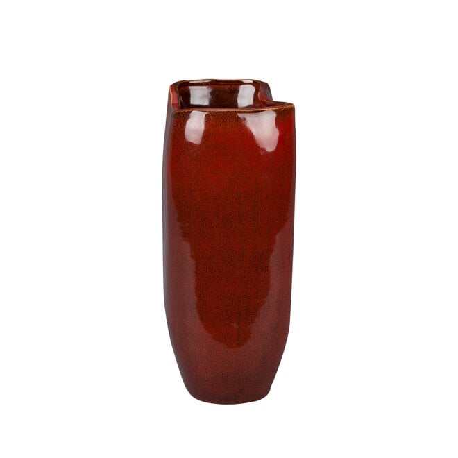Vaas Edna M Red