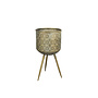 Plant Stand Botanique L