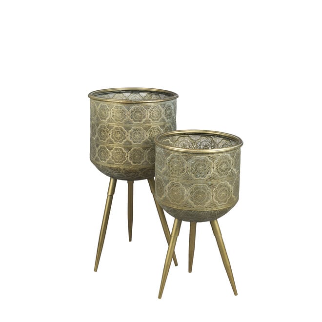 Plant Stand Botanique L