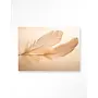 Urban Cotton Wandkleed Light Feather
