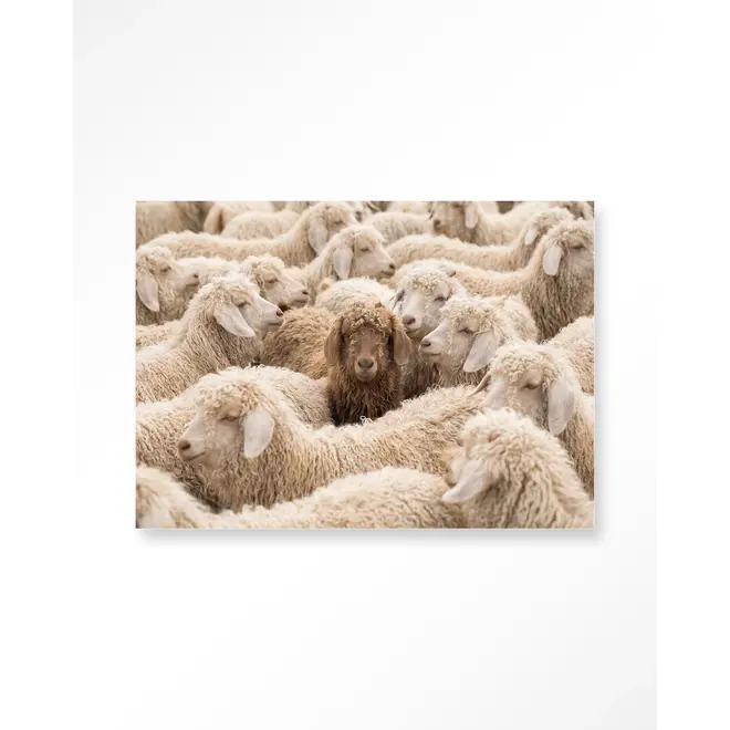 Urban Cotton Wandkleed The Herd