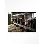 Urban Cotton Wandkleed The Cow Barn