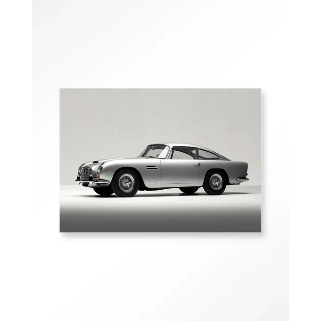 Urban Cotton Wandkleed Silver Ride