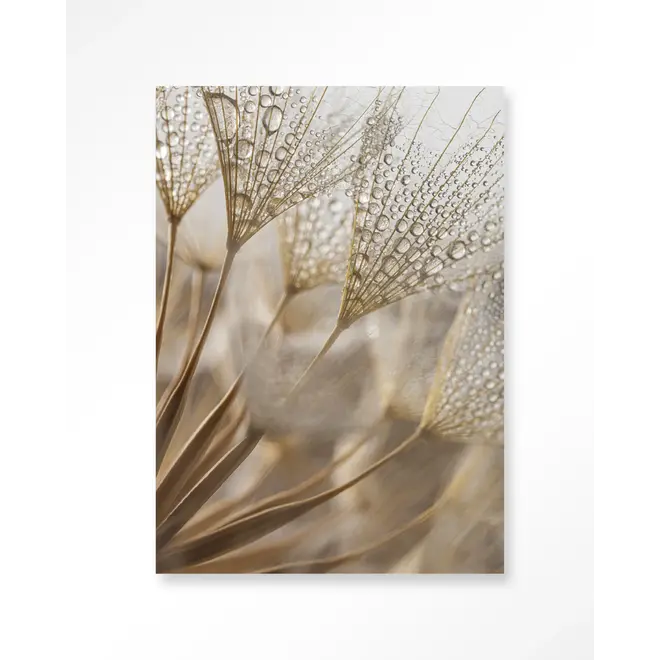 Urban Cotton Wandkleed Natuurlijke Abstractie