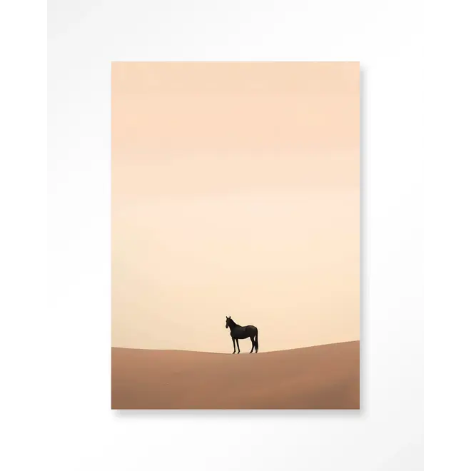 Urban Cotton Wandkleed Desert Horse
