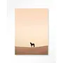 Urban Cotton Wandkleed Desert Horse