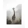 Urban Cotton Wandkleed Giraffe Mist