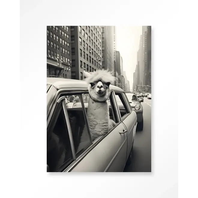 Urban Cotton Wandkleed Alpaca In NY