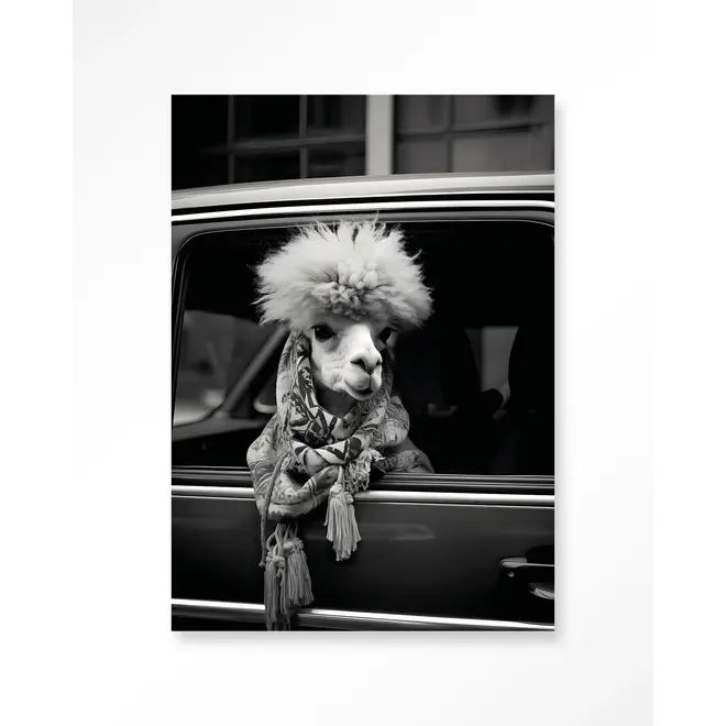 Urban Cotton Wandkleed Alpaca In Taxi