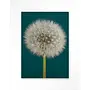 Urban Cotton Wandkleed Pluizige Paardenbloem