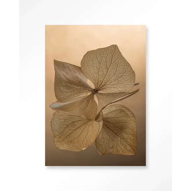Urban Cotton Wandkleed Leaf Me: Unfolded