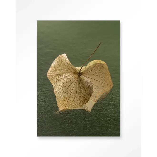 Urban Cotton Wandkleed Leaf Me: In The Green