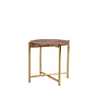 LABEL51 Bijzettafels Dox - Espresso - Mangohout - 40 cm Goud