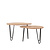 LABEL51 Salontafels Frisk - Rough - Mangohout - 68 cm
